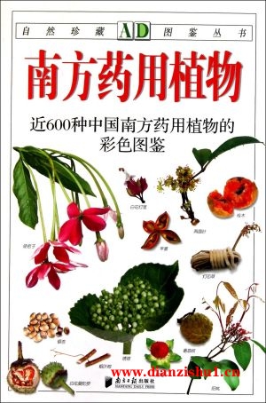 9787549101801《南方药用植物：近600种中国南方药用植物的彩色图鉴》王玉生pdf
