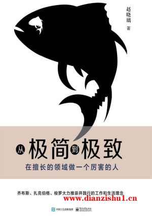 9787121343872《从极简到极致：在擅长的领域做一个厉害的人》赵晓璃pdf