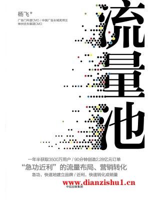 9787508686769《流量池》杨飞pdf