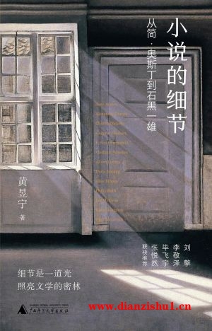 9787559854544《小说的细节》黄昱宁pdf