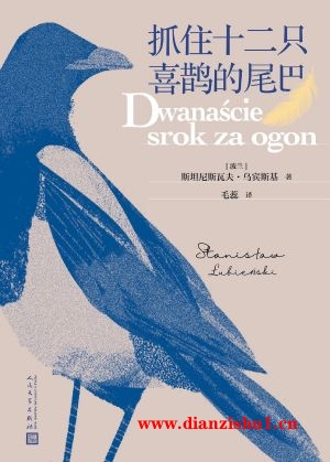 9787020177875《抓住十二只喜鹊的尾巴》（波）斯坦尼斯瓦夫·乌宾斯基pdf