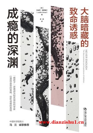 9787300327587《成瘾的深渊》（美）朱迪思·格里塞尔pdf