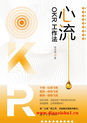 9787302649984《心流OKR工作法》李沛遥pdf